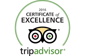 trip advisor